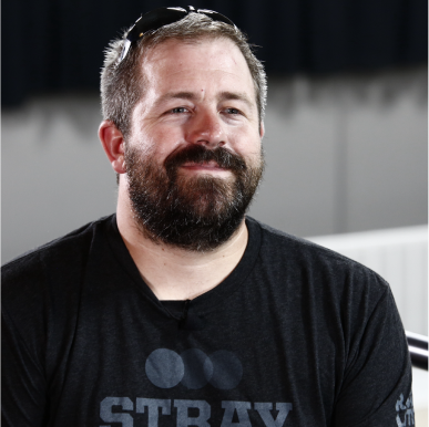 Stray Productions banner image