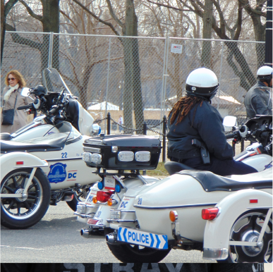 City of Washington D.C. banner image